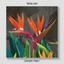 Canvas print Tropical Flowers Strelitzia Dark photo
